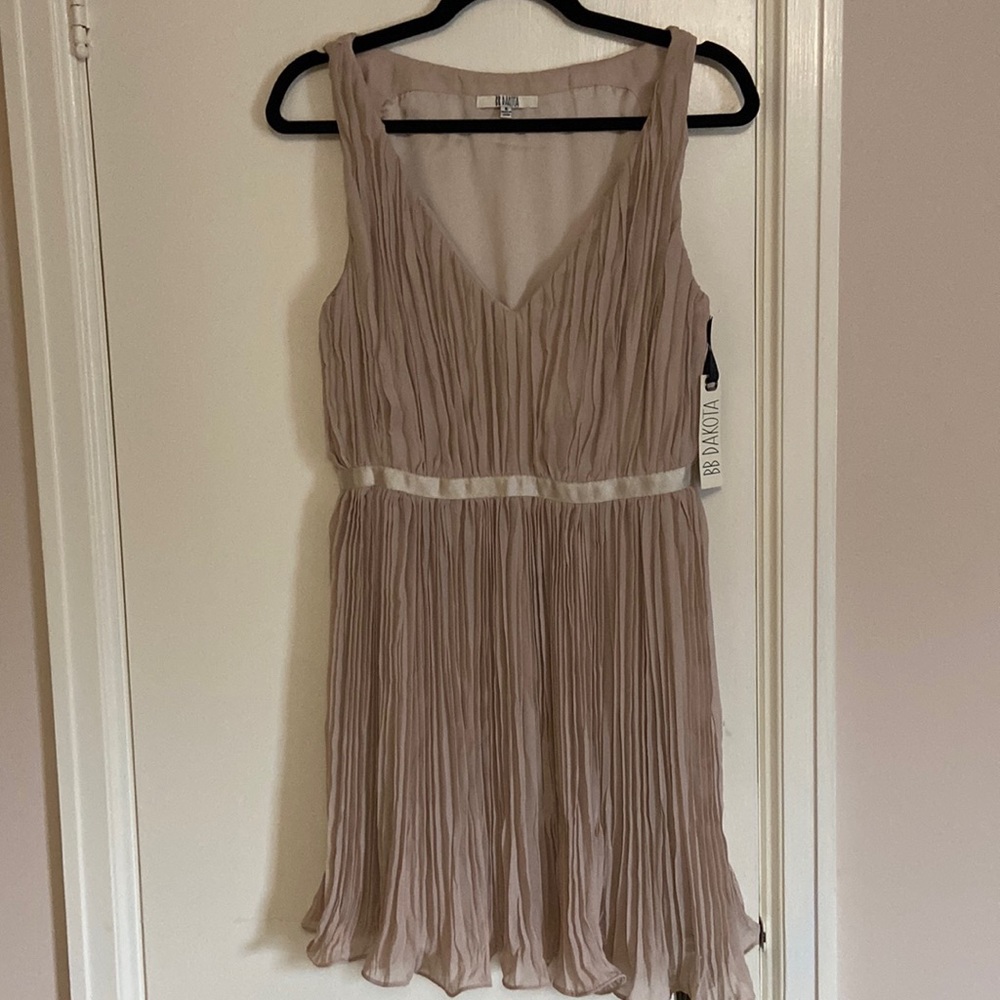 BB Dakota chiffon dress